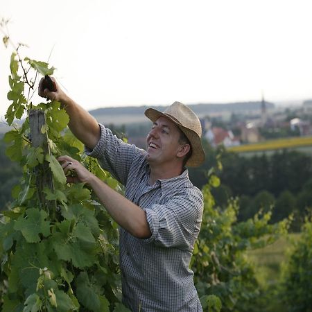 Worners Schloss Weingut & Wellness-Hotel Prichsenstadt Exterior foto
