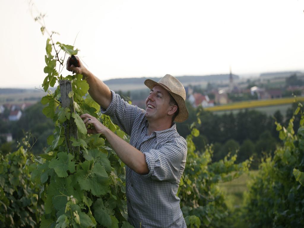 Worners Schloss Weingut & Wellness-Hotel Prichsenstadt Exterior foto