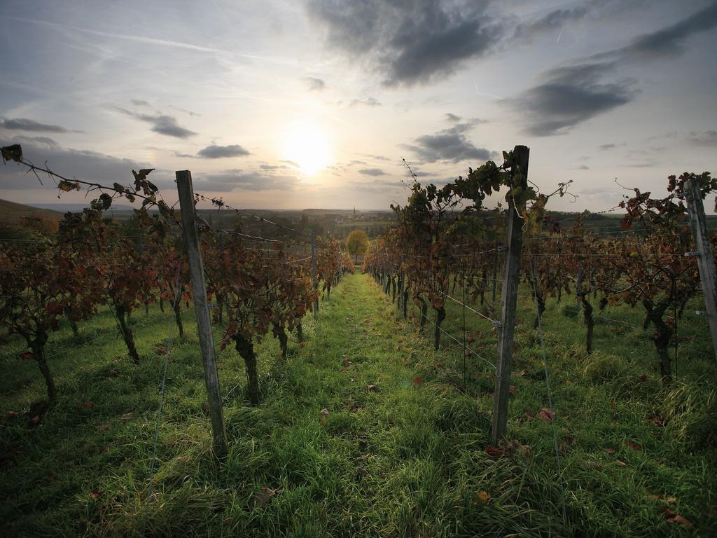 Worners Schloss Weingut & Wellness-Hotel Prichsenstadt Exterior foto