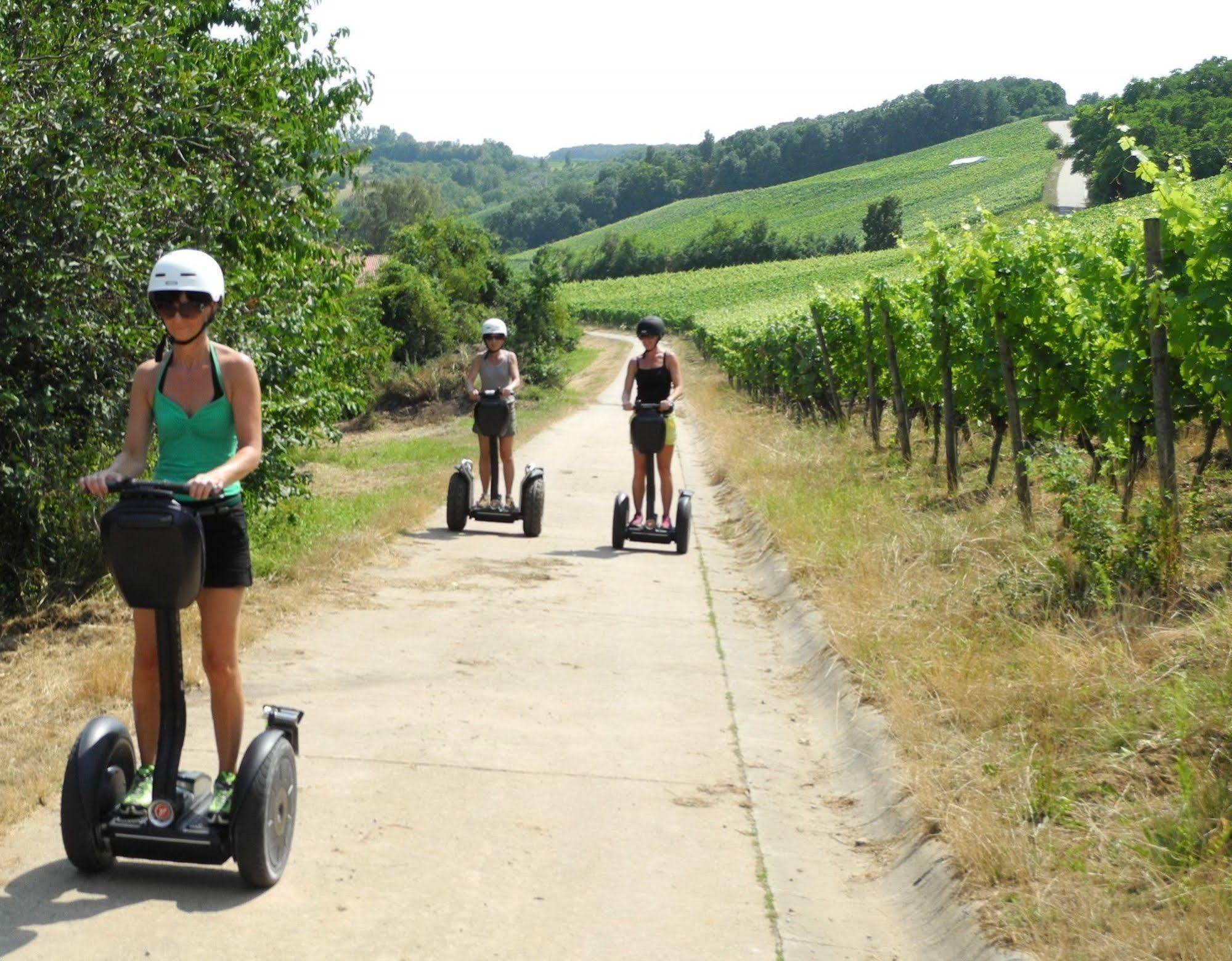 Worners Schloss Weingut & Wellness-Hotel Prichsenstadt Exterior foto